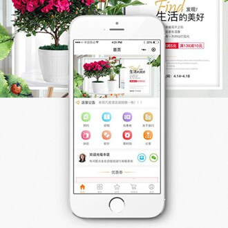 平坝门店微商城小程序开发