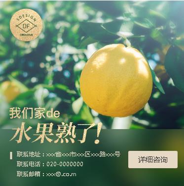 平坝果园果林小程序开发